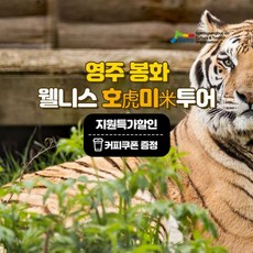 막걸리체험