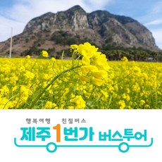 [제주도] 제주도 제주1번가버스투어 원데이 패키지 당일치기 관광여행 동쪽/서쪽남쪽/우도/마라도/가파도