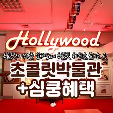제주브이패스