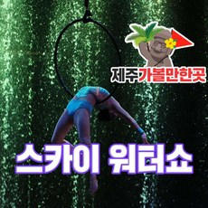 [제주] 스카이워터쇼+제주가볼만한 곳