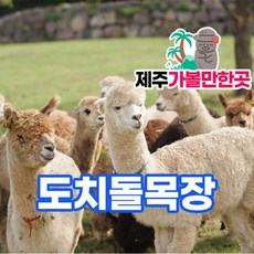 [제주] 도치돌목장+제주가볼만한곳