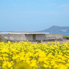 [제주] 유민 아르누보 뮤지엄 입장권