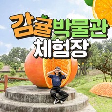 [제주] 감귤박물관체험장 만들기 체험