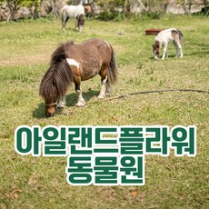 뮤지컬스카이워터쇼