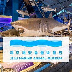 [제주] 제주 해양동물박물관