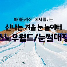 [강원] 하이원리조트 스노우월드/눈썰매장 이용권 상품 이미지