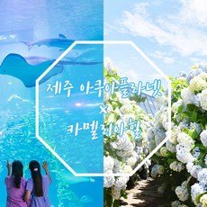 [서귀동부,서귀서부] |제주|아쿠아플라넷 제주+카멜리아힐