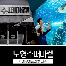 [제주시,서귀동부] |제주|노형수퍼마켙+아쿠아플라넷