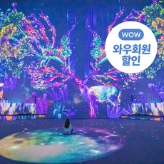 [제주시] |제주|노형수퍼마켙|미디어아트|뉴미디어뮤지컬&콘서트