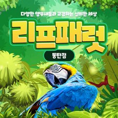 [경기] [동탄점] 리프패럿 이용권(구매 후 60일이내 사용)