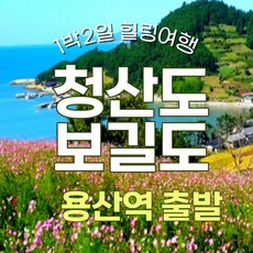 [출발확정]  8/19,26,28, 9/5,9,16// KTX 청산도/보길도 기차여행