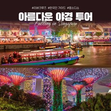 [싱가포르] 싱가포르 아름다운 야경 투어 [한국인 가이드, 클락키 전철역 E 출구]