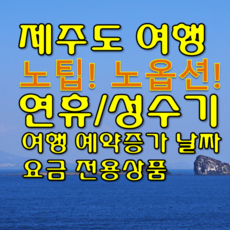 홈쇼핑제주도패키지여행