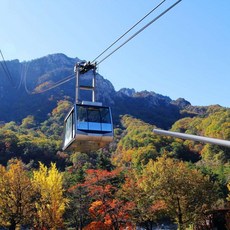 [서울출발] [남이섬+설악산] 당일 여행