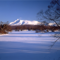 [삿포로] #모두투어 [세계3대야경] 북해도/하코다테 4일 (3대게요리특식) #대한항공 #JCP672KECH