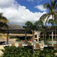 [보홀-팡라오] #모두투어 보홀직항 5일(비 그랜드-디럭스) (왕복픽업+호핑+노쇼핑+노팁) #제주항공 #BPP6007C5G