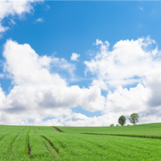 [삿포로] #모두투어 ★출발확정★[홈쇼핑따라잡기] 북해도 감성 힐링여행 4일(비에이/오타루/소운쿄) #에어부산 #BJP671BXCJ