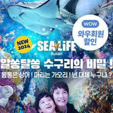 부산아쿠아리움 TOP01