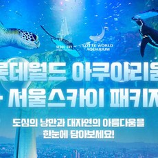 롯데월드티켓 TOP01