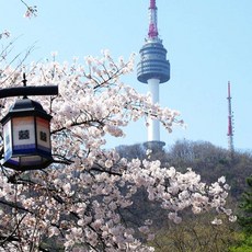 남산타워전망대특가