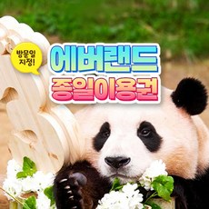 [용인] 에버랜드 종일이용권 (방문날짜지정) (8/1~8/31)