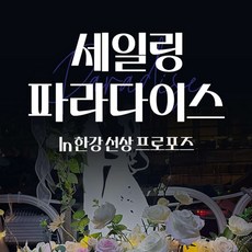 [서울 영등포] 한강요트투어 세일링파라다이스 요트 (프로포즈/기념일/데이트/프라이빗)