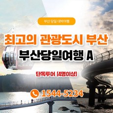 [부산] ★단독 투어+전용 차량/기사/KTX★당일투어1 (4인이상 예약가능)