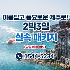 [제주도] ★아름다운 제주도 실속패키지 2박3일★