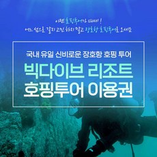 강원도스킨스쿠버체험