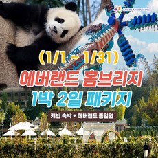 [용인] 1월 에버랜드 용인 홈브리지 캐빈호스텔 1박+종일권 상품 이미지