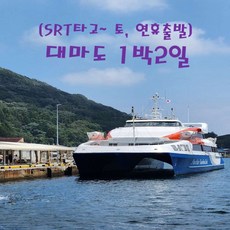 [출발확정] [SRT_수서출발] 대마도 1박2일(토/연휴 출발)