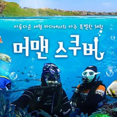 제주도스킨스쿠버