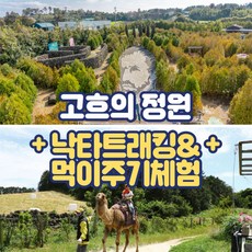 [제주] 고흐의 정원+낙타트래킹&먹이주기체험
