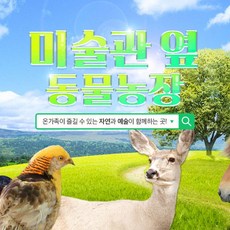 부산캐니언파크