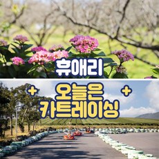 [제주] 제주 휴애리+오늘은카트레이싱 카트체험