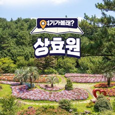 [제주] 상효원+여기가볼래?