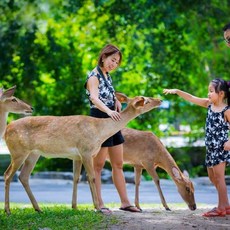 스페이스파타야