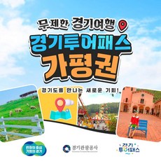 경기투어패스 TOP01