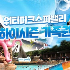 [대구] 워터파크 스파밸리 하이시즌 가족권
