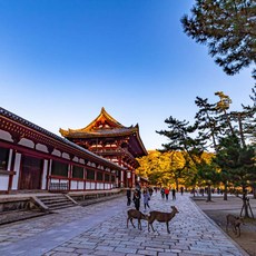 [오사카] [하나투어]부산출발 진에어 오사카/나라/교토/고베 4일 #JOP344LJM
