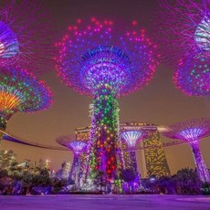 [싱가포르] [하나투어]인천출발 티웨이항공 싱가포르 5일 #ASP210TWC #버드파라다이스+뷔페