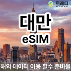 [대만] 대만 (중화통신) 4G eSIM 해외여행 데이터전용 대만여행 필수 준비물
