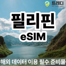 [필리핀] [~10분 보장] 필리핀 eSIM