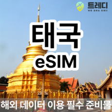 [태국] 태국 DTAC eSIM 해외여행 데이터전용 태국여행 필수 준비물