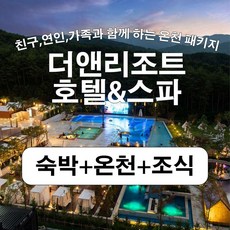 [양양] [더앤리조트호텔&스파] 숙박+온천+조식 디럭스 패키지