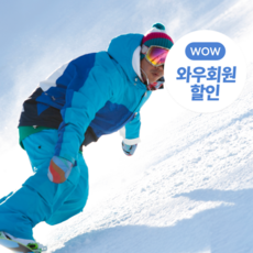 [웰리힐리파크] 보드강습 어린이 유아 가족 성인 알파인 프리스타일 스노우보드