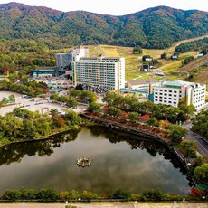 [강원/횡성] 웰리힐리파크