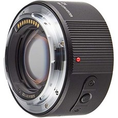 Panasonic 파나소닉 2.0×텔레 컨버터블 믹스 DMW-STC20, 1개
