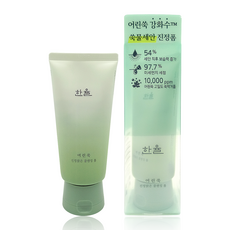 한율 어린쑥 마일드 클렌징 폼 얼굴세안 모공클렌저 딥클렌징, 1개, 120g