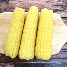 옥수수한자루